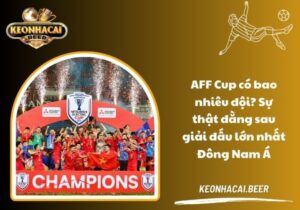AFF Cup có bao nhiêu đội? Sự thật đằng sau giải đấu lớn nhất Đông Nam Á