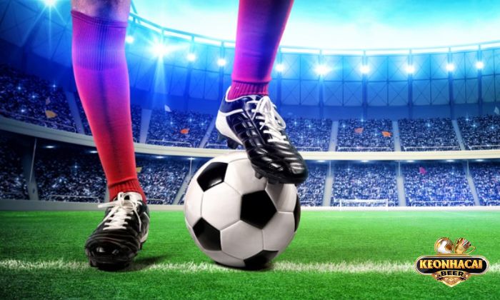 Nhanh chóng phát hiện “bẫy nhà cái”