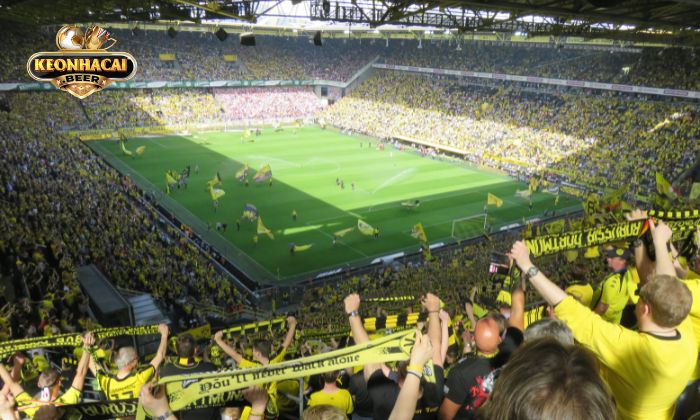 Lý do bet thủ nên cược kèo chơi tại keonhacai.beer Lý do bet thủ nên cược kèo chơi tại keonhacai.beer