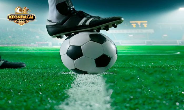 Cửa tài có khả năng ra rất cao Cửa tài có khả năng ra rất cao